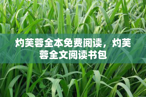 灼芙蓉全本免费阅读，灼芙蓉全文阅读书包
