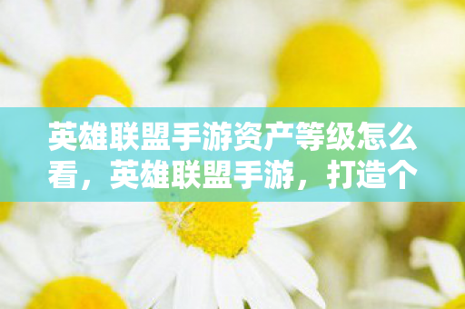 英雄联盟手游资产等级怎么看，英雄联盟手游，打造个性化游戏世界的资产探索