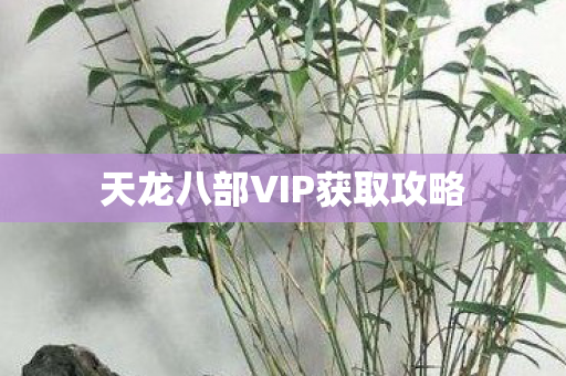 天龙八部VIP获取攻略