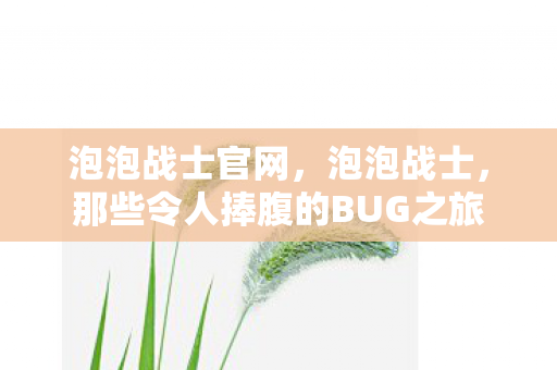 泡泡战士官网,泡泡战士,那些令人捧腹的BUG之旅 泡泡战士官网,泡泡战士,那些令人捧腹的BUG之旅