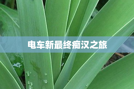 电车新最终痴汉之旅 电车新最终痴汉之旅