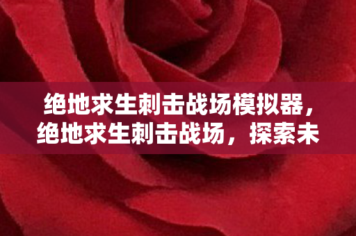 绝地求生刺击战场模拟器，绝地求生刺击战场，探索未知战场，挑战极限生存