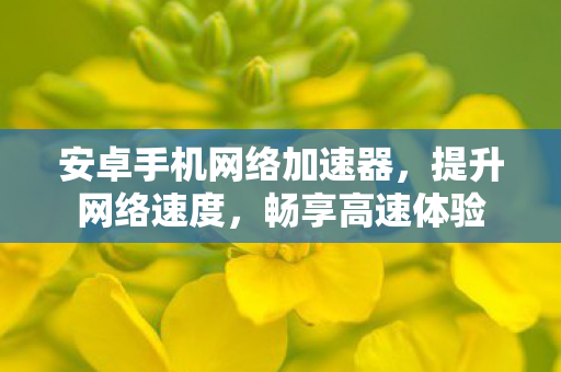 安卓手机网络加速器，提升网络速度，畅享高速体验