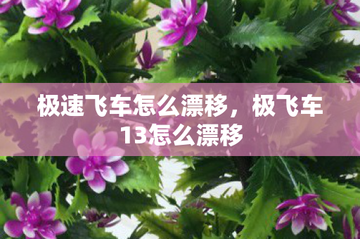 极速飞车怎么漂移,极飞车13怎么漂移 极速飞车怎么漂移,极飞车13怎么漂移