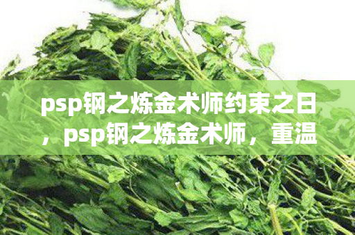 psp钢之炼金术师约束之日,psp钢之炼金术师,重温经典,探索游戏世界的奥秘 psp钢之炼金术师约束之日,psp钢之炼金术师,重温经典,探索游戏世界的奥秘