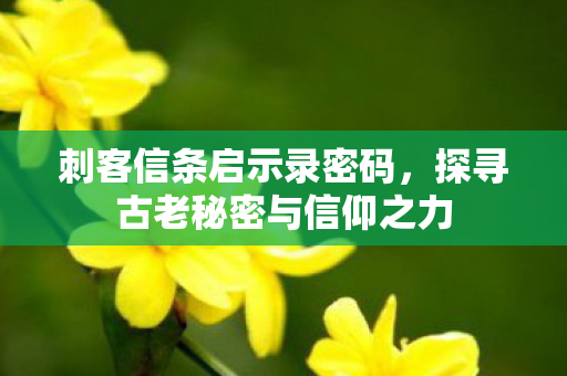 刺客信条启示录密码,探寻古老秘密与信仰之力 刺客信条启示录密码,探寻古老秘密与信仰之力