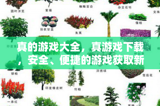 真的游戏大全，真游戏下载，安全、便捷的游戏获取新体验
