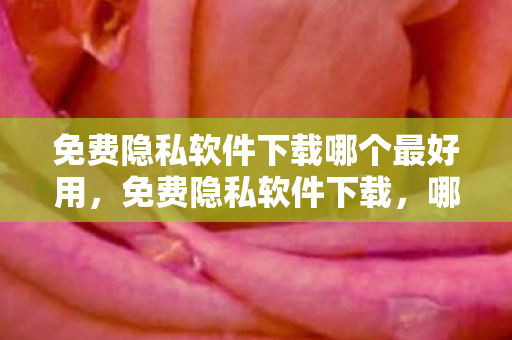免费隐私软件下载哪个最好用,免费隐私软件下载,哪款最适合你? 免费隐私软件下载哪个最好用,免费隐私软件下载,哪款最适合你?