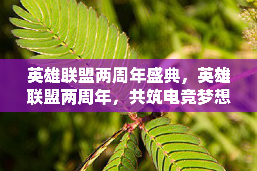 英雄联盟两周年盛典,英雄联盟两周年,共筑电竞梦想,携手前行 英雄联盟两周年盛典,英雄联盟两周年,共筑电竞梦想,携手前行