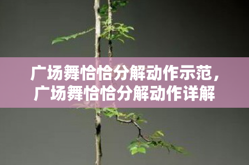 广场舞恰恰分解动作示范,广场舞恰恰分解动作详解 广场舞恰恰分解动作示范,广场舞恰恰分解动作详解