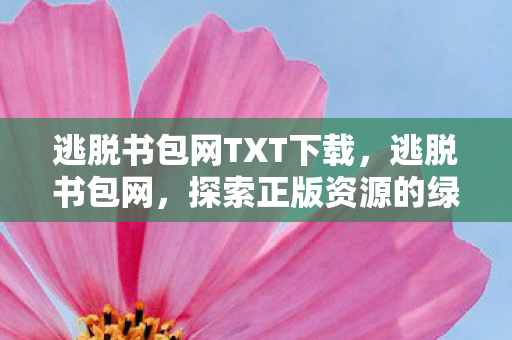 逃脱书包网TXT下载,逃脱书包网,探索正版资源的绿色港湾 逃脱书包网TXT下载,逃脱书包网,探索正版资源的绿色港湾