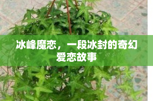 冰峰魔恋,一段冰封的奇幻爱恋故事 冰峰魔恋,一段冰封的奇幻爱恋故事