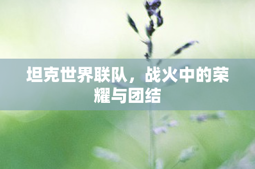坦克世界联队,战火中的荣耀与团结 坦克世界联队,战火中的荣耀与团结