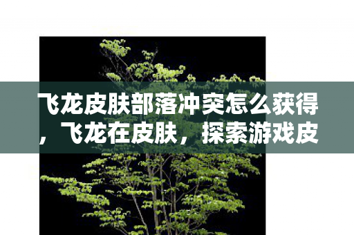 飞龙皮肤部落冲突怎么获得，飞龙在皮肤，探索游戏皮肤的魅力与影响