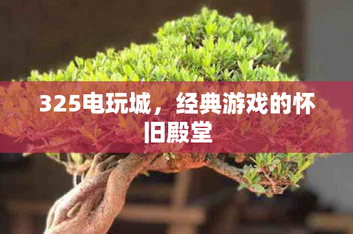 325电玩城,经典游戏的怀旧殿堂 325电玩城,经典游戏的怀旧殿堂