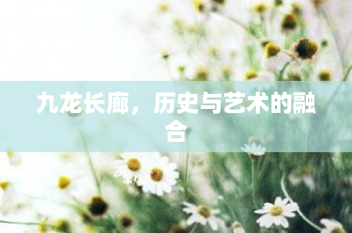 九龙长廊,历史与艺术的融合 九龙长廊,历史与艺术的融合