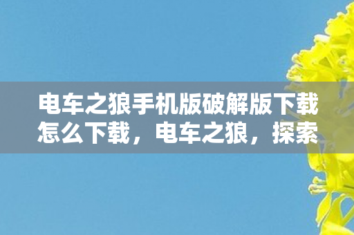 电车之狼手机版破解版下载怎么下载,电车之狼,探索虚拟世界的独特魅力 电车之狼手机版破解版下载怎么下载,电车之狼,探索虚拟世界的独特魅力