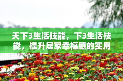 天下3生活技能，下3生活技能，提升居家幸福感的实用小技巧