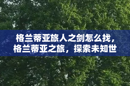 格兰蒂亚旅人之剑怎么找，格兰蒂亚之旅，探索未知世界的奇幻旅程