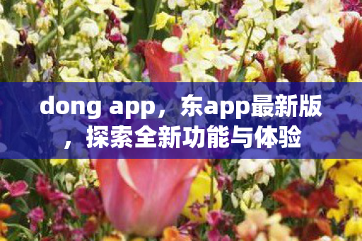 dong app,东app最新版,探索全新功能与体验 dong app,东app最新版,探索全新功能与体验