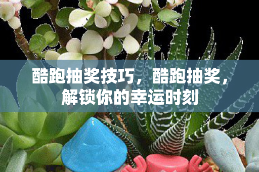 酷跑抽奖技巧，酷跑抽奖，解锁你的幸运时刻
