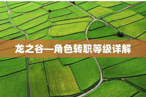 龙之谷—角色转职等级详解