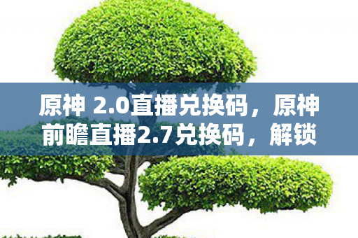 原神 2.0直播兑换码,原神前瞻直播2.7兑换码,解锁新世界的钥匙 原神 2.0直播兑换码,原神前瞻直播2.7兑换码,解锁新世界的钥匙
