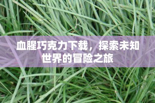 血腥巧克力下载,探索未知世界的冒险之旅 血腥巧克力下载,探索未知世界的冒险之旅
