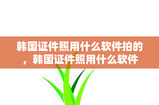 韩国证件照用什么软件拍的,韩国证件照用什么软件 韩国证件照用什么软件拍的,韩国证件照用什么软件