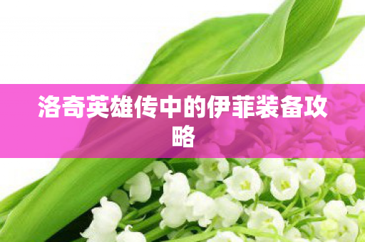 洛奇英雄传中的伊菲装备攻略 洛奇英雄传中的伊菲装备攻略