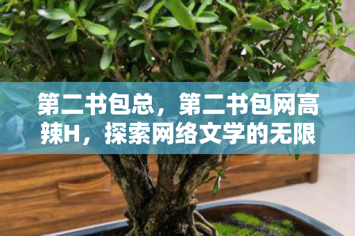 第二书包总，第二书包网高辣H，探索网络文学的无限可能