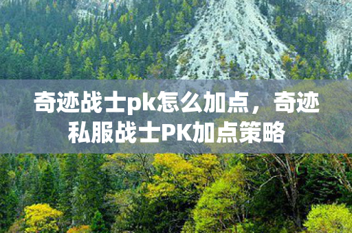 奇迹战士pk怎么加点，奇迹私服战士PK加点策略