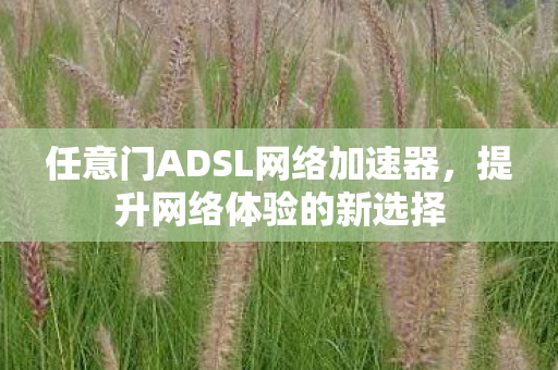任意门ADSL网络加速器,提升网络体验的新选择 任意门ADSL网络加速器,提升网络体验的新选择
