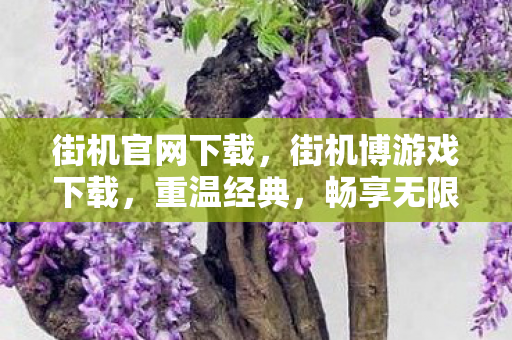 街机官网下载，街机博游戏下载，重温经典，畅享无限