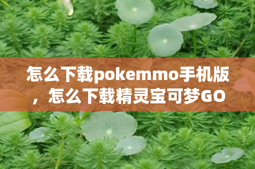 怎么下载pokemmo手机版,怎么下载精灵宝可梦GO 怎么下载pokemmo手机版,怎么下载精灵宝可梦GO
