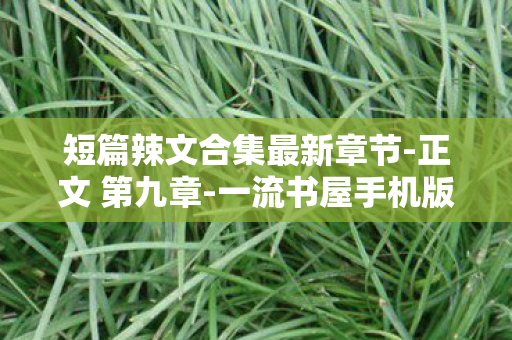 短篇辣文合集最新章节-正文 第九章-一流书屋手机版,短篇辣文合集最新章节,燃爆你的夏日激情 短篇辣文合集最新章节-正文 第九章-一流书屋手机版,短篇辣文合集最新章节,燃爆你的夏日激情