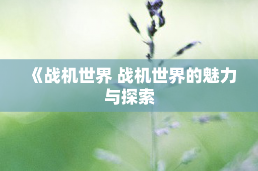 《战机世界 战机世界的魅力与探索 《战机世界 战机世界的魅力与探索