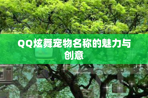 QQ炫舞宠物名称的魅力与创意 QQ炫舞宠物名称的魅力与创意