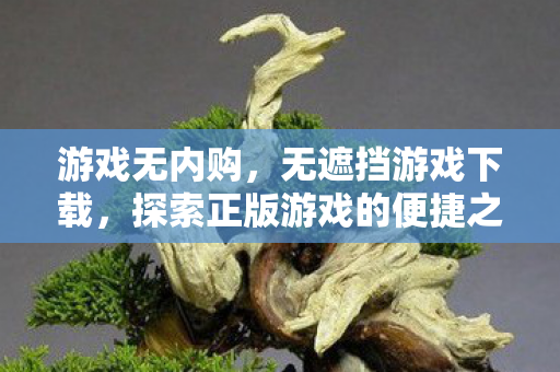 游戏无内购,无遮挡游戏下载,探索正版游戏的便捷之道 游戏无内购,无遮挡游戏下载,探索正版游戏的便捷之道