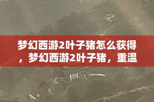 梦幻西游2叶子猪怎么获得，梦幻西游2叶子猪，重温经典，探索未知