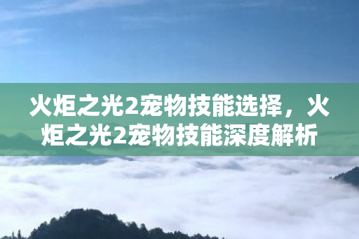 火炬之光2宠物技能选择,火炬之光2宠物技能深度解析,打造最强战斗伙伴 火炬之光2宠物技能选择,火炬之光2宠物技能深度解析,打造最强战斗伙伴