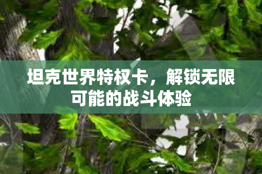 坦克世界特权卡,解锁无限可能的战斗体验 坦克世界特权卡,解锁无限可能的战斗体验