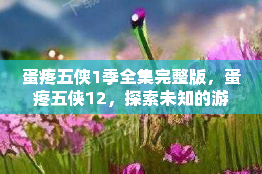 蛋疼五侠1季全集完整版,蛋疼五侠12,探索未知的游戏世界 蛋疼五侠1季全集完整版,蛋疼五侠12,探索未知的游戏世界