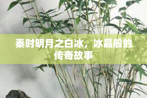 秦时明月之白冰，冰晶般的传奇故事