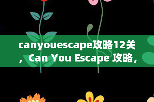 canyouescape攻略12关,Can You Escape 攻略,解锁密室逃脱的终极技巧 canyouescape攻略12关,Can You Escape 攻略,解锁密室逃脱的终极技巧