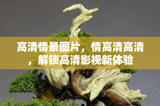 高清情景图片,情高清高清,解锁高清影视新体验 高清情景图片,情高清高清,解锁高清影视新体验