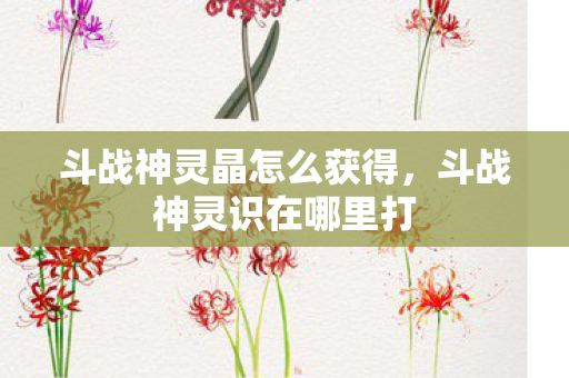 斗战神灵晶怎么获得,斗战神灵识在哪里打 斗战神灵晶怎么获得,斗战神灵识在哪里打