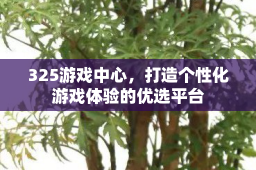 325游戏中心,打造个性化游戏体验的优选平台 325游戏中心,打造个性化游戏体验的优选平台
