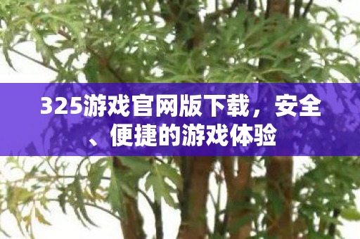 325游戏官网版下载，安全、便捷的游戏体验