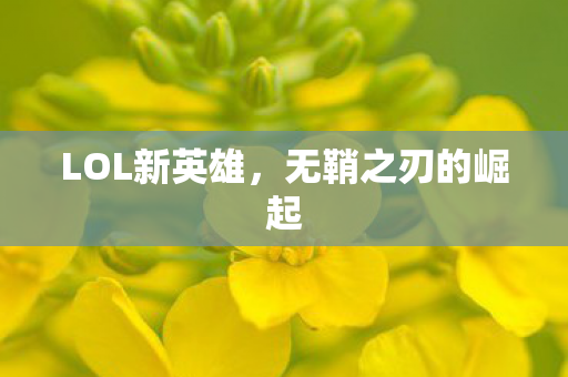 LOL新英雄,无鞘之刃的崛起 LOL新英雄,无鞘之刃的崛起